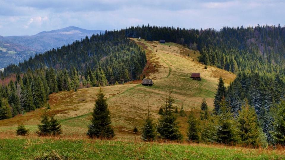 Wasielowka Poręba Wielka Eksteriør billede
